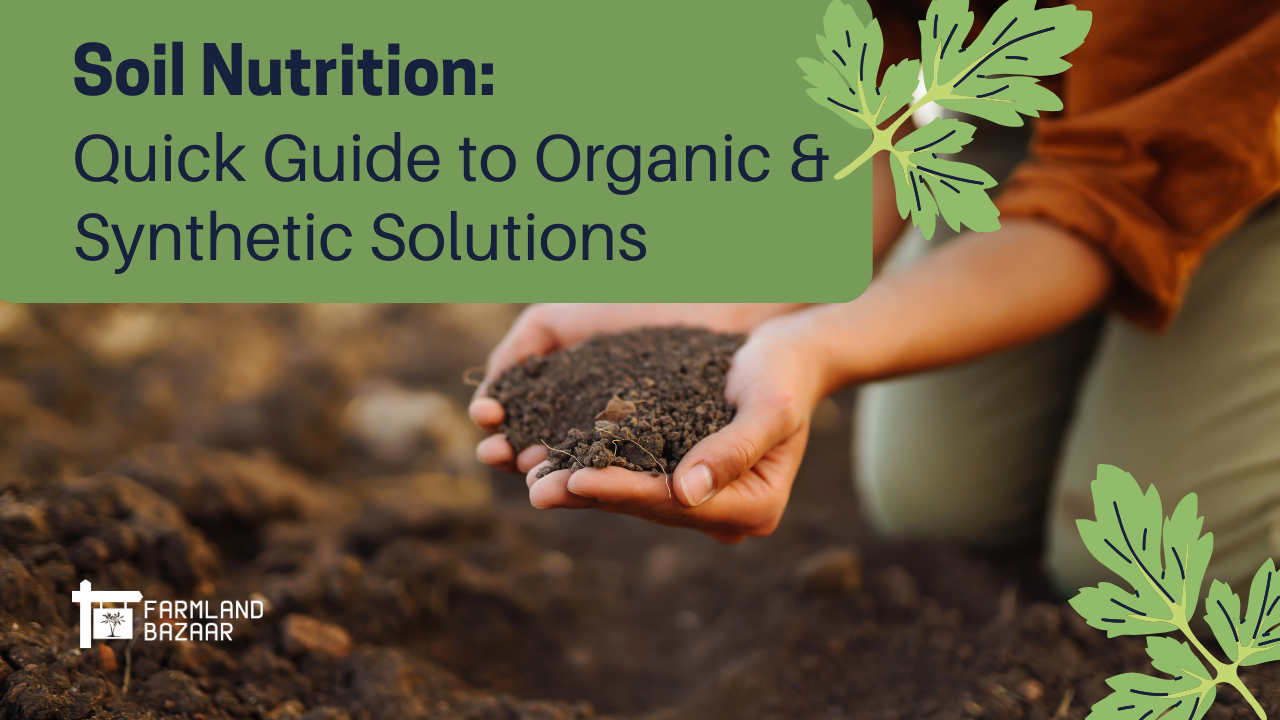 Balancing Soil Nutrients: A Mini Guide to Synthetic and Organic Solutions for your farmland