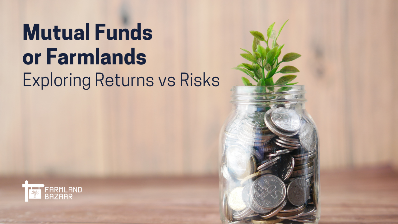 Mutual Funds vs Farmland: Which Offers Better Long-Term Returns?
