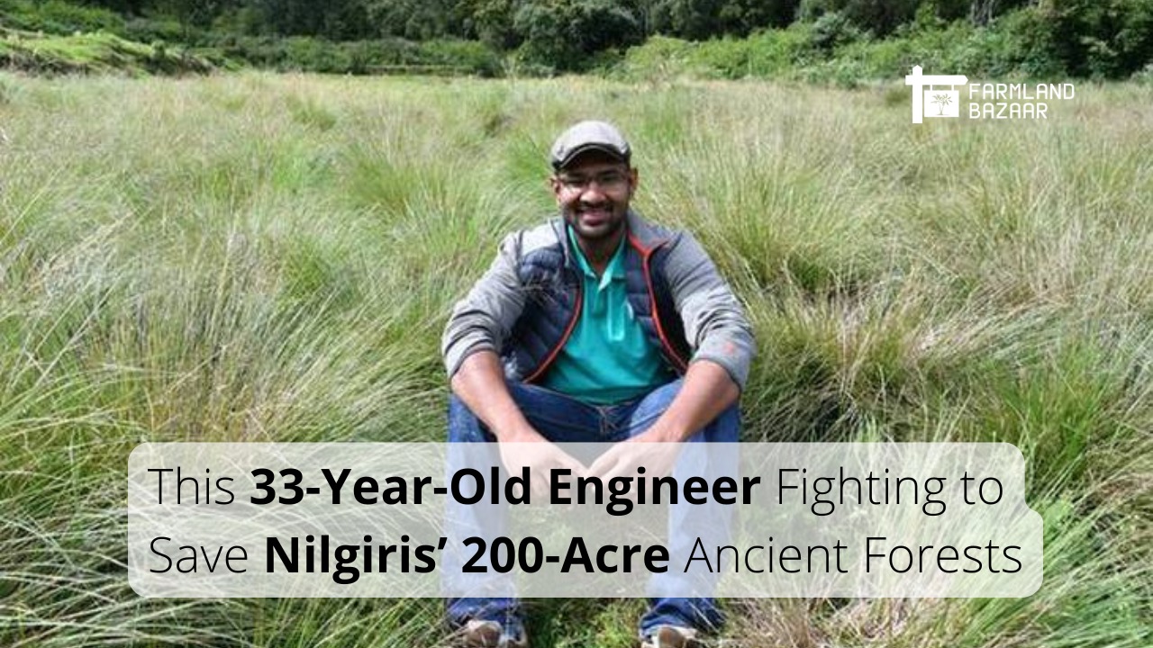 How One Engineer Is Saving 200 Acres of Nilgiris’ Ancient Shola Forests