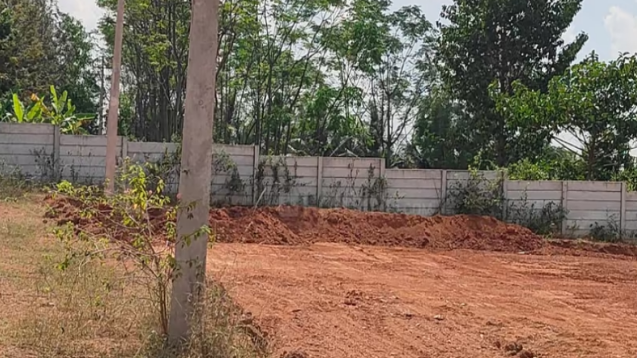 Ruchi_Bevu_Seegehalli_Farmland_Near_Bangalore
