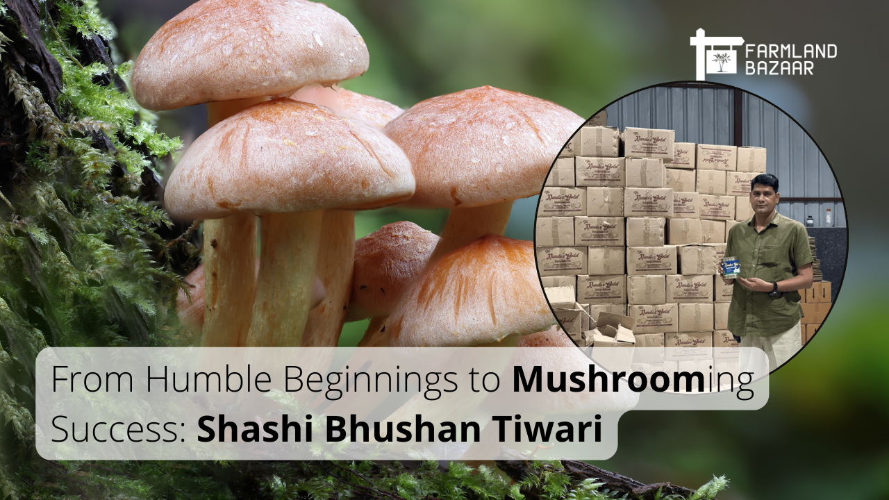 From Sleeping on Apple Boxes to Becoming a Millionaire: The Inspiring Journey of Bihar's 'Mushroom Man'