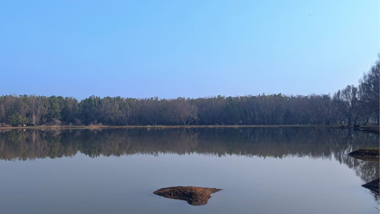 The_Secret_Lake_Mylanahalli_Farmland_Near_Bangalore