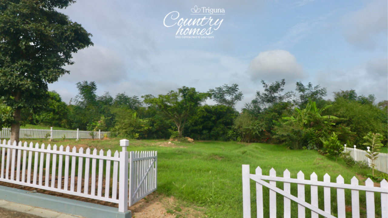 Triguna_Country_Homes_Denkanikottai_Farmland_Near_Bangalore