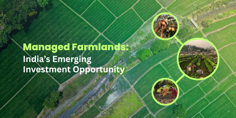 Why Managed Farmlands Are the Next Big Thing in Indian Real Estate
