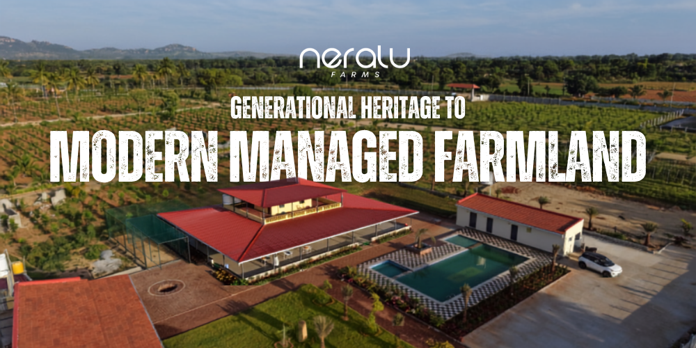Neralu Farms - The Family Turning Heritage into Sustainable Living via managed farmlands