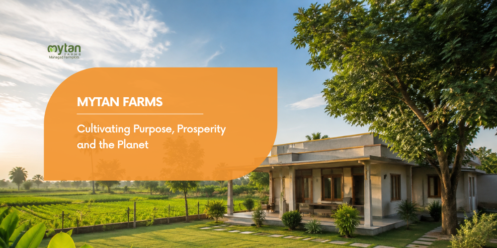 Mytan Farms: Cultivating Purpose, Prosperity and the Planet