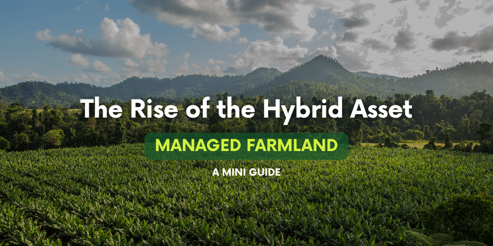 The Rise of the Hybrid Asset: Why Managed Farmland is the Investment Trend of 2026