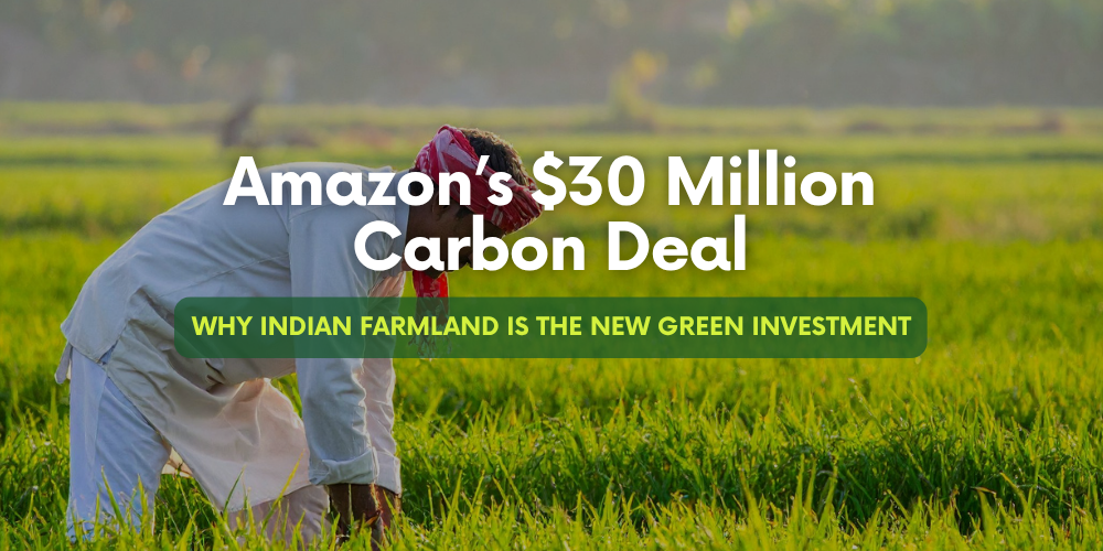 Amazon’s $30 Million Carbon Deal: Why Indian Farmland is the New Green Investment
