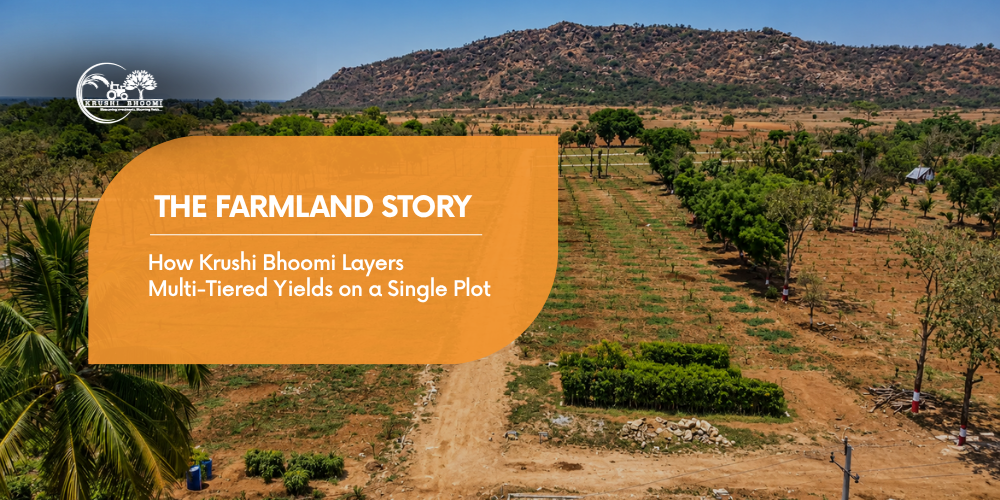 The Farmland Story: How Krushi Bhoomi Layers Multi-Tiered Yields on a Single Plot