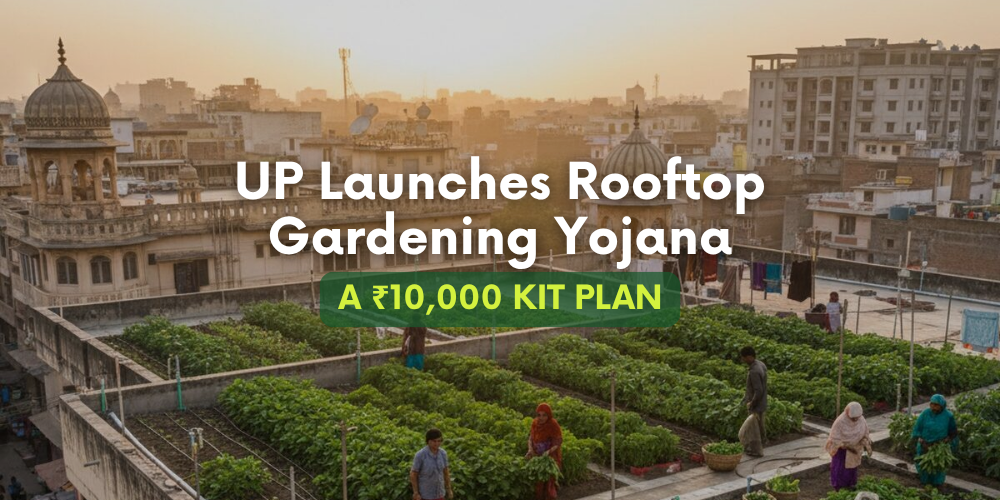 Uttar Pradesh Launches Rooftop Gardening Yojana: ₹10,000 Kits to Turn City Terraces Green