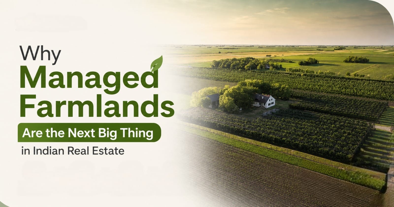 Why Managed Farmlands Are the Next Big Thing in Indian Real Estate