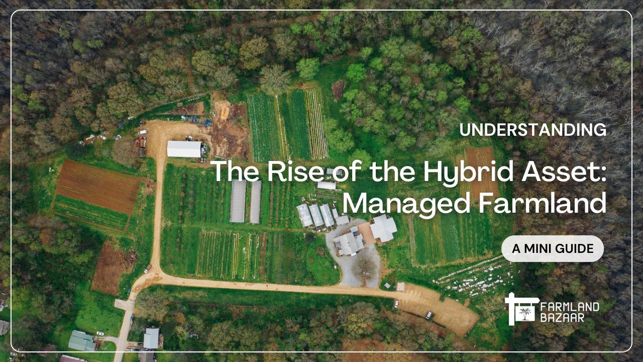The Rise of the Hybrid Asset: Why Managed Farmland is the Investment Trend of 2026