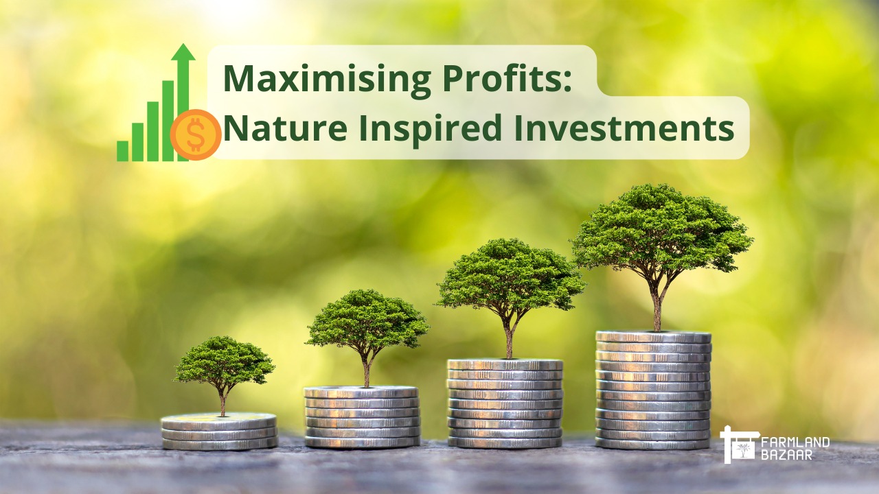 Sustainable Gains: How to Maximize Profits with Nature-Inspired Investments