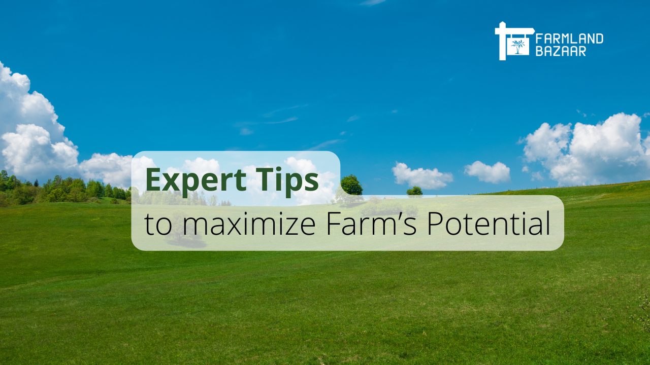5 tips from an expert to Maximize Your Farm's Potential