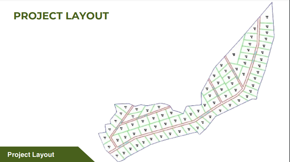 Vasushree Narayani Vishwa Phase 2 — Master Plan